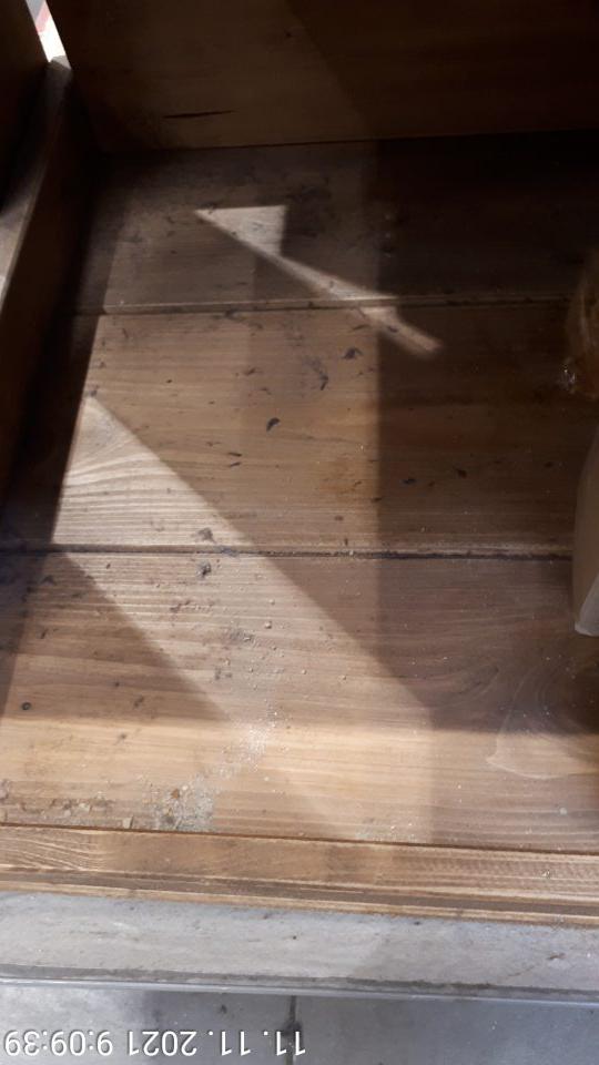 znečistenie regál s pekárskymi výrobkami