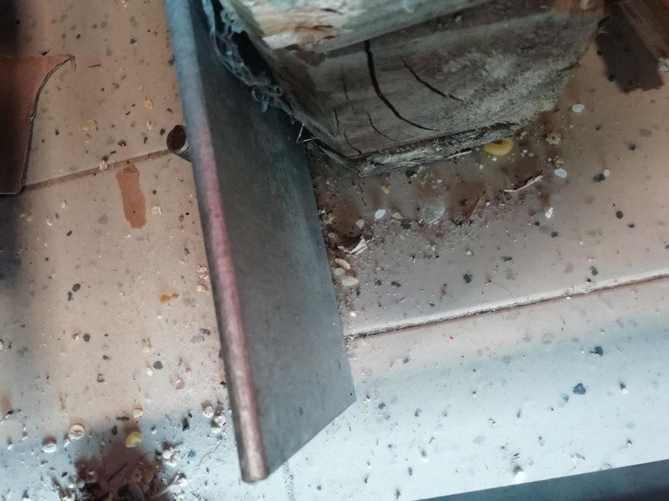 prevádzková hygiena