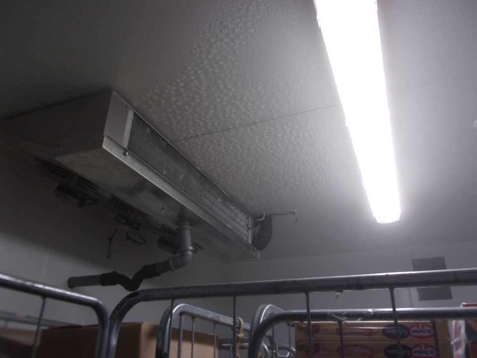 Kondenz na strope v mraziacom boxe na hydinu.