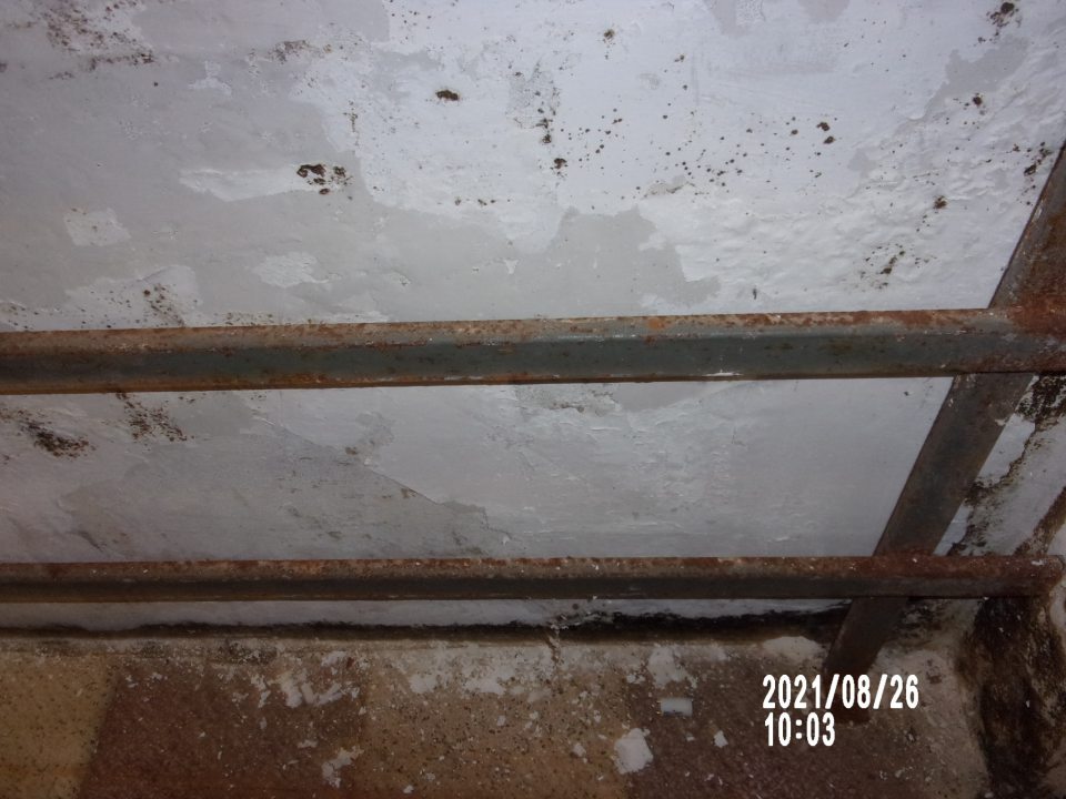 steny a strop v miestnosti na príjem nebalených pekárskych výrobkov poškodené zatečením s necelistvou, olupujúcou sa a opadávajúcou omietkou, zistená prítomnosť plesne - poškodená a skorodovaná kovová konštrukcia pri stene za prepravkami na nebalené pekárske výrobky