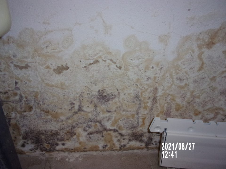 pás omietky poškodený nadmernou vlhkosťou miestami so stopami plesní