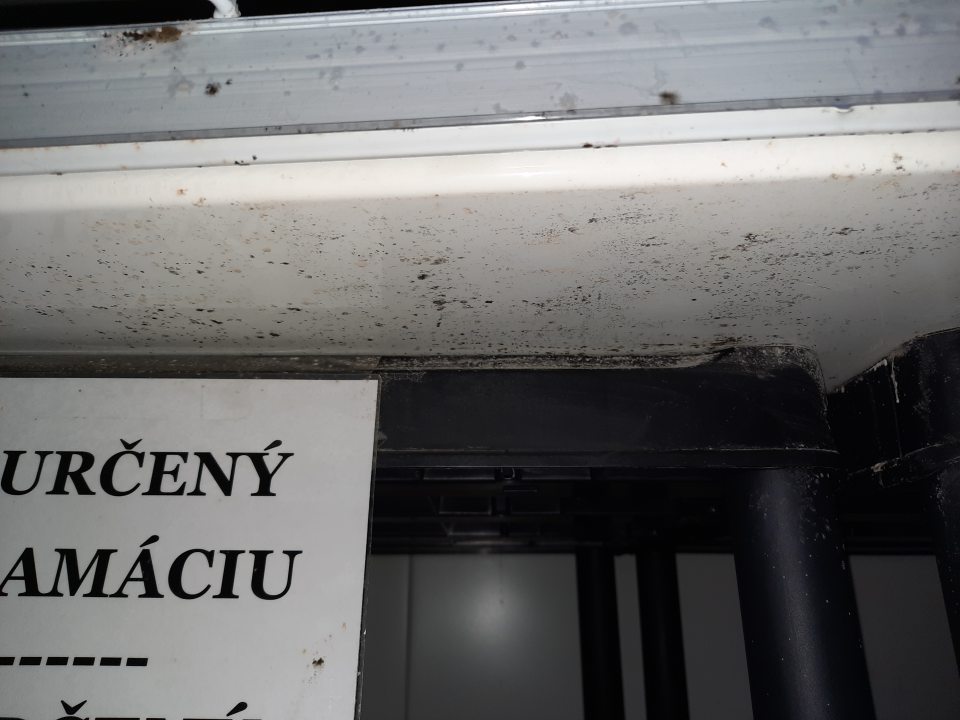 kontaktné povrchy regálu s odpismi v chladiacom boxe v zázemí skladu s kolóniami plesní