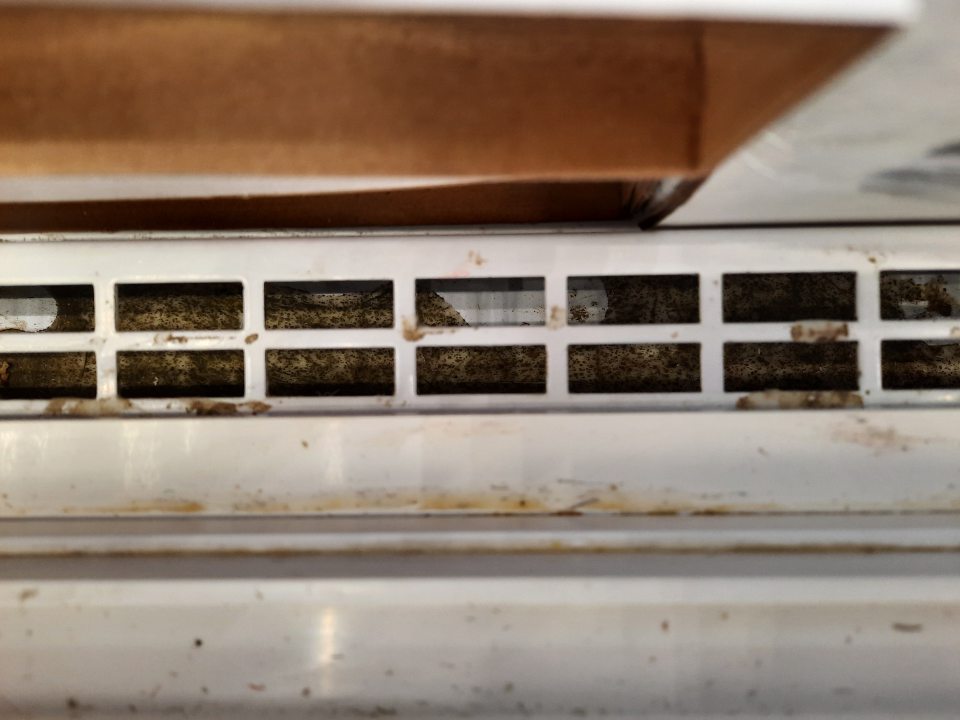 V priestoroch predajne boli znečistené všetky chladiace a mraziace zariadenia - kolóniami čiernych plesní, prachom a zvyškami predávaného tovaru.