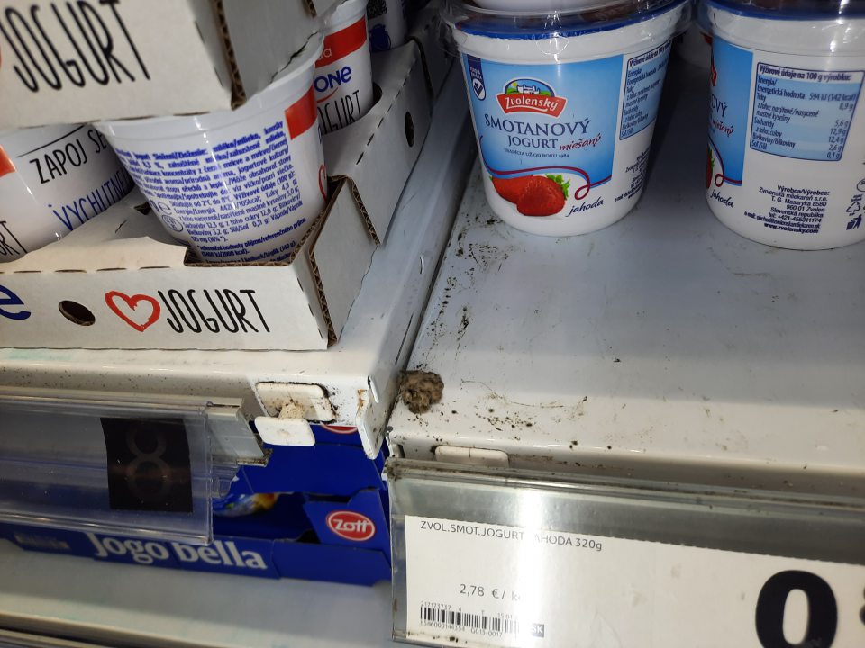 V priestoroch predajne boli znečistené všetky chladiace a mraziace zariadenia - kolóniami čiernych plesní, prachom a zvyškami predávaného tovaru.