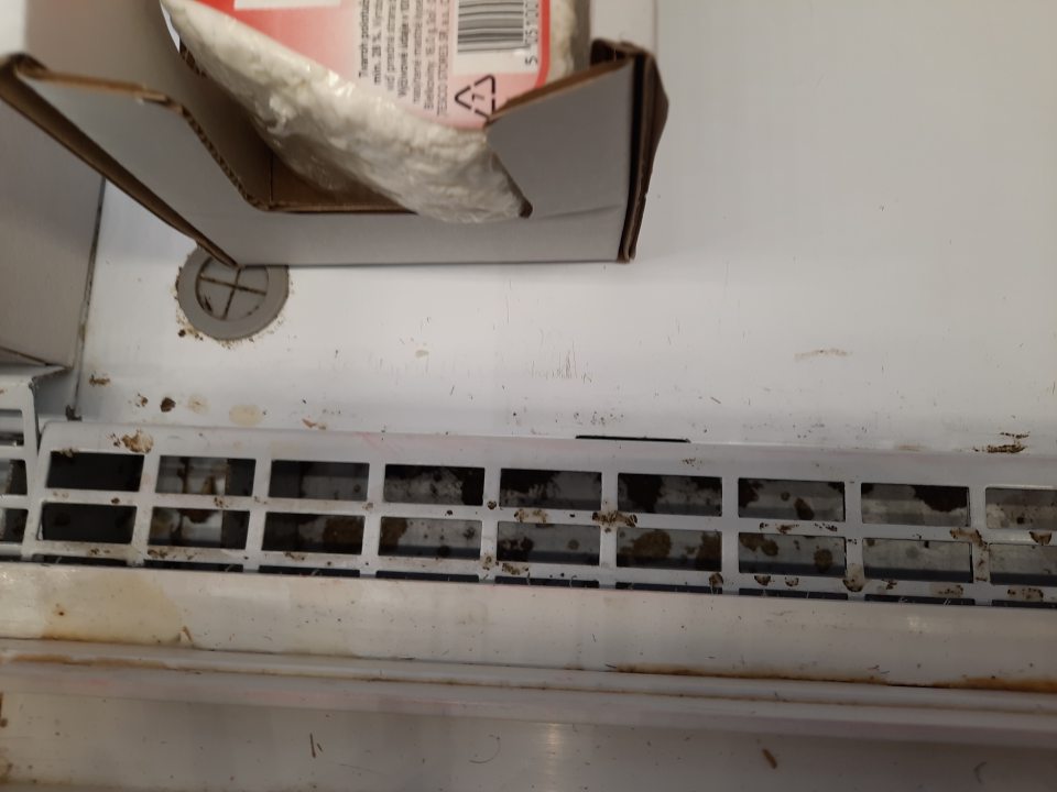 V priestoroch predajne boli znečistené všetky chladiace a mraziace zariadenia - kolóniami čiernych plesní, prachom a zvyškami predávaného tovaru.