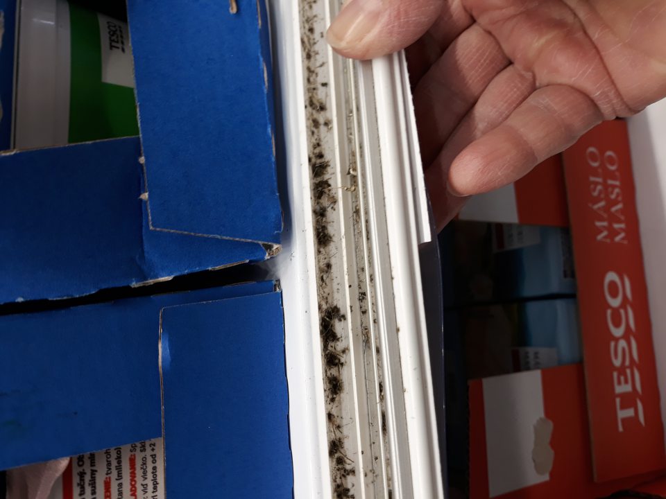 Na predajnej ploche priestor medzi úložnou plochou a cenovkami v chladiacom zariadení slúžiacom na vystavovanie a predaj mliečnych výrobkov silne znečistený s výskytom plesne.
