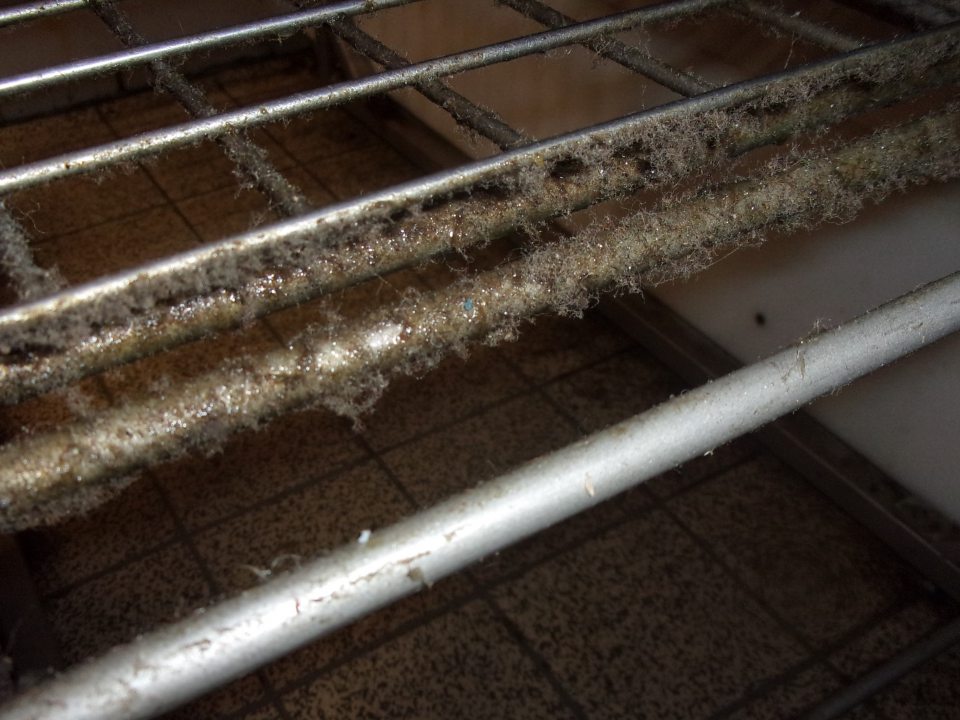 Kovová konštrukcia regálu na skladovanie lahôdkarských výrobkov v chladiacom boxe slúžiacom na skladovanie mliečnych a lahôdkarských výrobkov s názvom chladená miestnosť pre Mopro bola na viacerých miestach silne znečistená mechanickými nečistotami a prachom