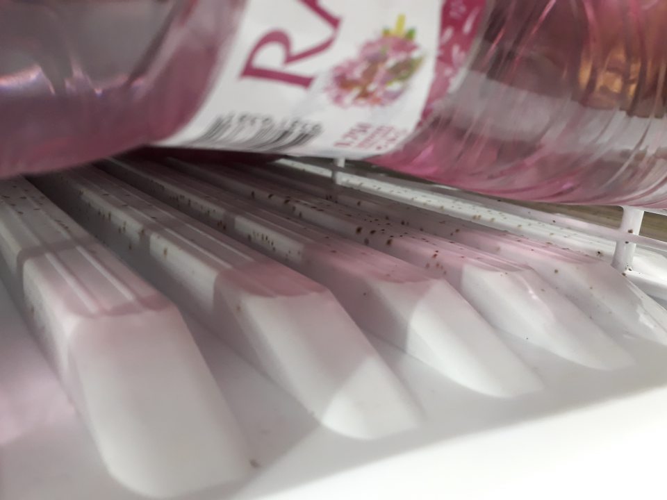 Silný výskyt plesne na bočnej stene a úložnej plochy chladiaceho zariadenia.