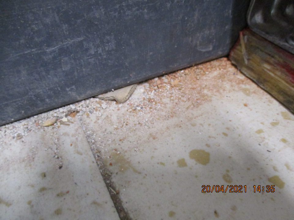 v zázemi zvýšený nános prachu červenej fyrby