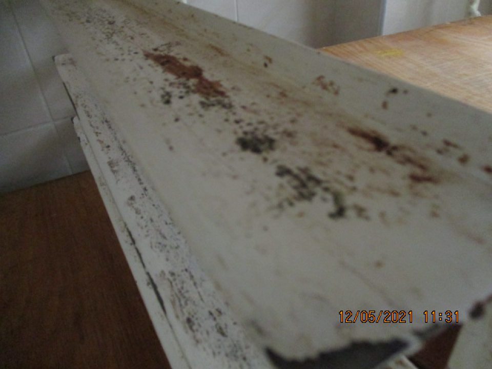 Stojany na plechy znečistené nánosom nečistôt a plesní, druhý stojan v spodnej časti s výskytom korózie a nečistôt.