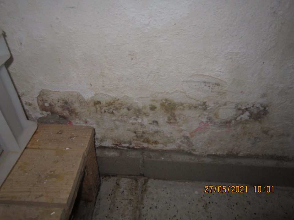 v zbernej miestnosti naľavo od vstupu z príjmovej rampy s umiestnenými prázdnymi prepravkami, papierovými vyradenými obalmi, s fóliami na balenie expedovaného odpadu navlhnutá stena v spodnej časti pri podlahe s výskytom plesne