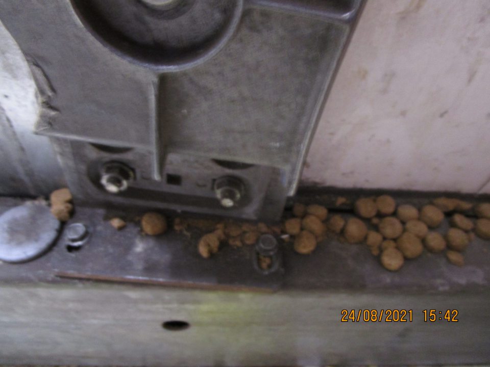 na bočnej vonkajšej strane boxu výskyt rozsypaného krmiva, granúl pre psov