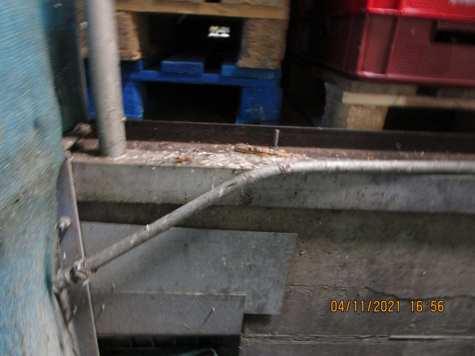 výskyt vtáčieho trusu na potrubí nad kontajnerom na odpad z ovocia  a zeleniny