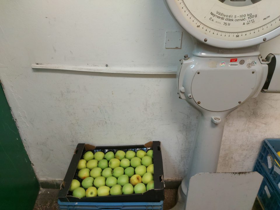 V zázemí prevádzky v sklade, v mieste uloženia ovacia a zeleniny, je špinavá, poškodená a neudržiavaná stena