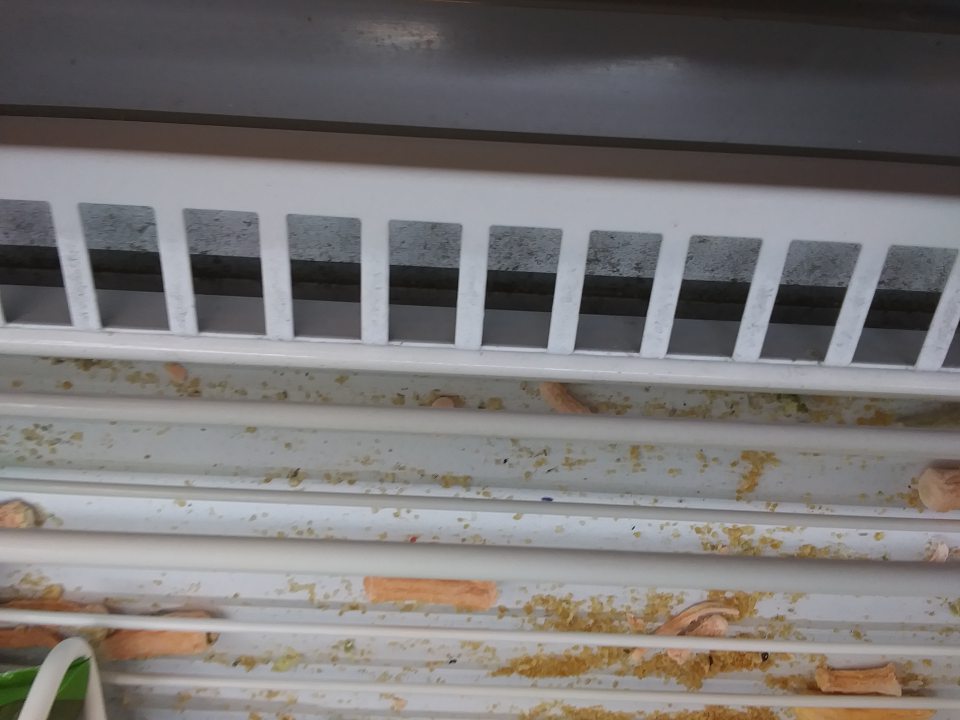 Prachom a rozsypanými zvyškami potravín znečistené vnútorné plochy a miesta pod bočnými prednými lištami mraziacich zariadení s hlbokozmrazenými potravinami.
