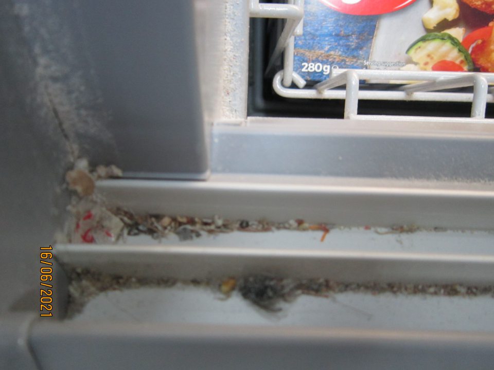 2. Znečistené mraziace zariadenie v predajni, v drážkach posuvných dverí sa nachádza uhynutý hmyz.