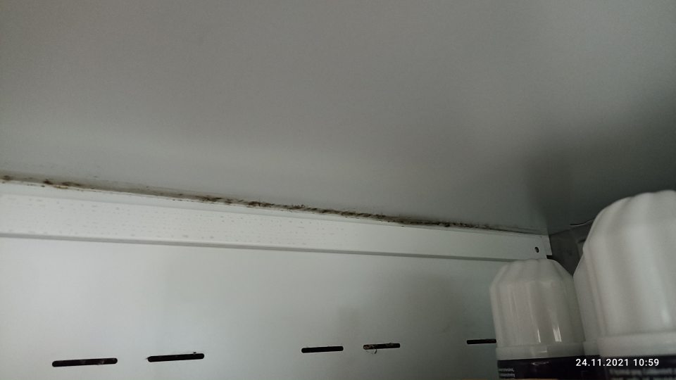 Porast plesne na strope chladiacej vitríny