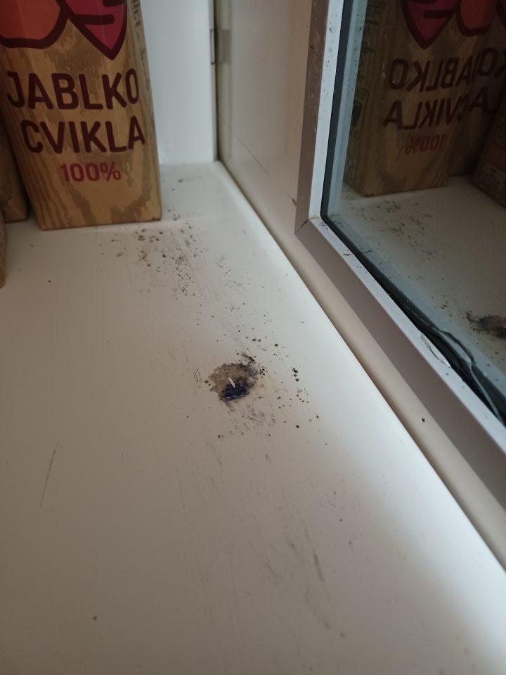 Chladiace vitríny znečistené plesňou