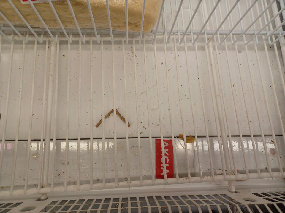 Chladiace vitríny znečistené