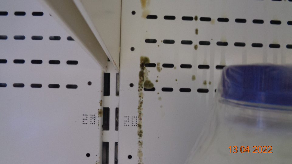 Výskyt čiernej špiny pripomínajúcej pleseň v chladiacich vitrínach na mlieko a mliečne výrobky na predajnecj ploche.