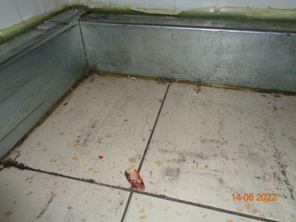 V skladových priestoroch v časti chladiacej jednotky na mliečne výrobky zistená znečistená podlaha a v rohoch sa nachádzali zbytky potravín a prachu. 