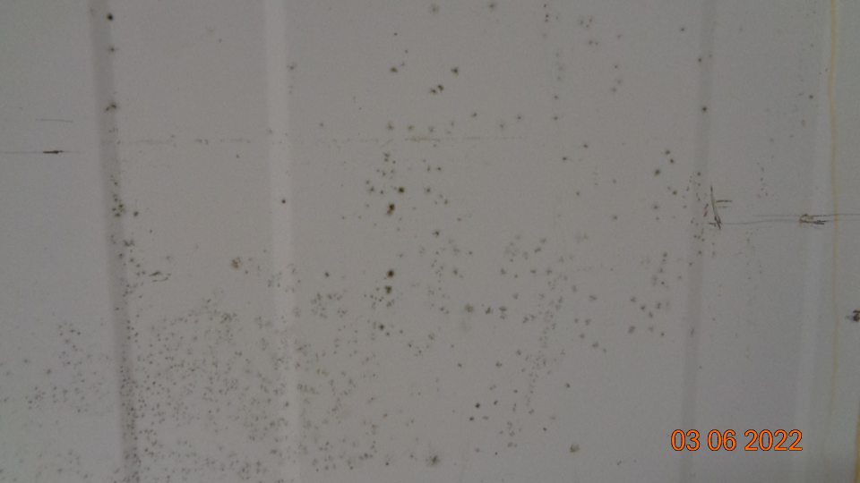 Chladiaci box mliečnych výrobkov:ložiská čiernej plesne na stenách.