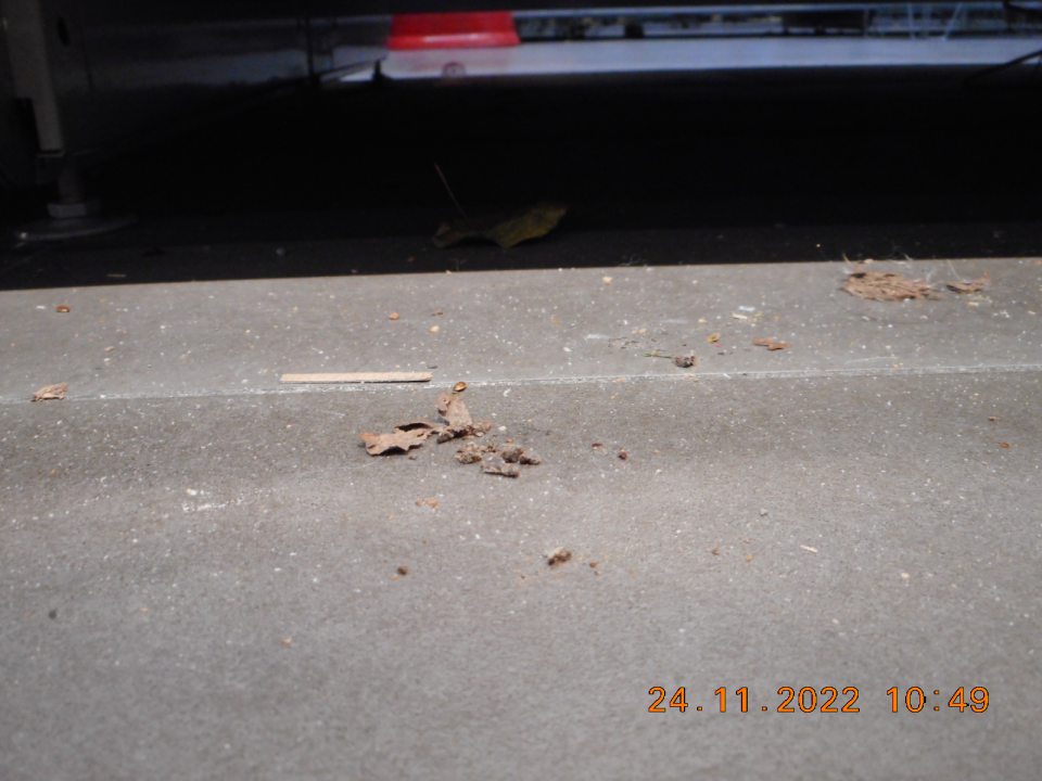 Nevyhovujúca hygiena podláh na predajnej ploche