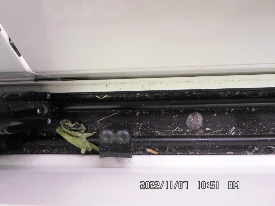 Nečistota v chladiacom zariadení určenom na vystavovanie a predaj mäsových výrobkov. 