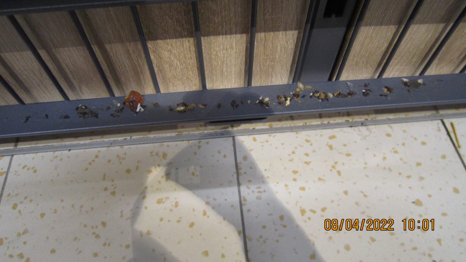 Výskyt trusu hlodavcov za regálmi v predajnom priestore.