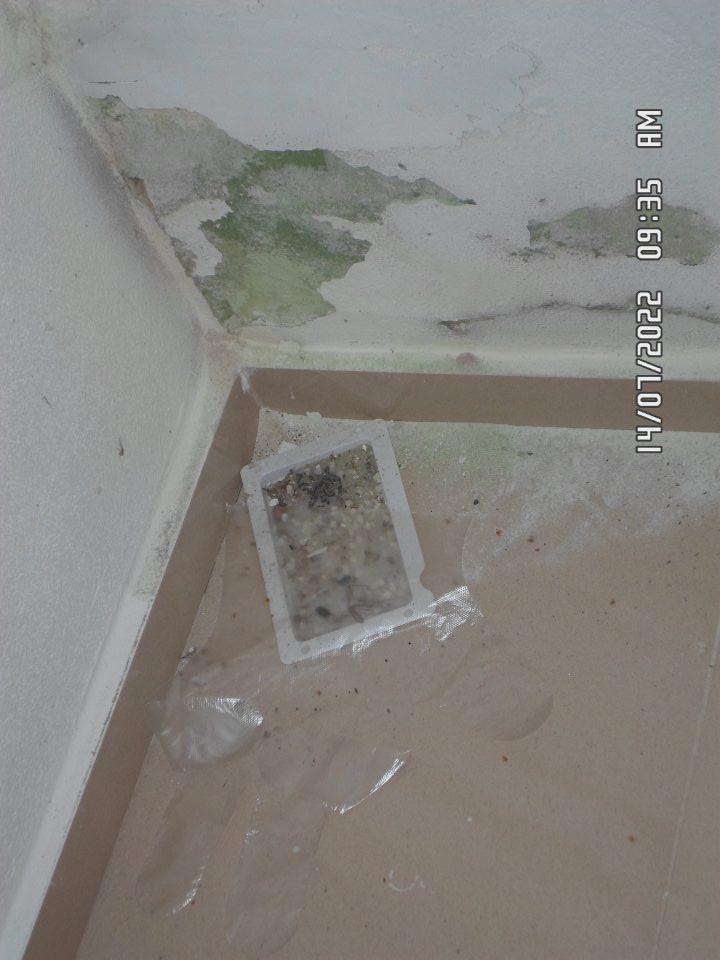 Stena necelistvá, opadajúca omietka.