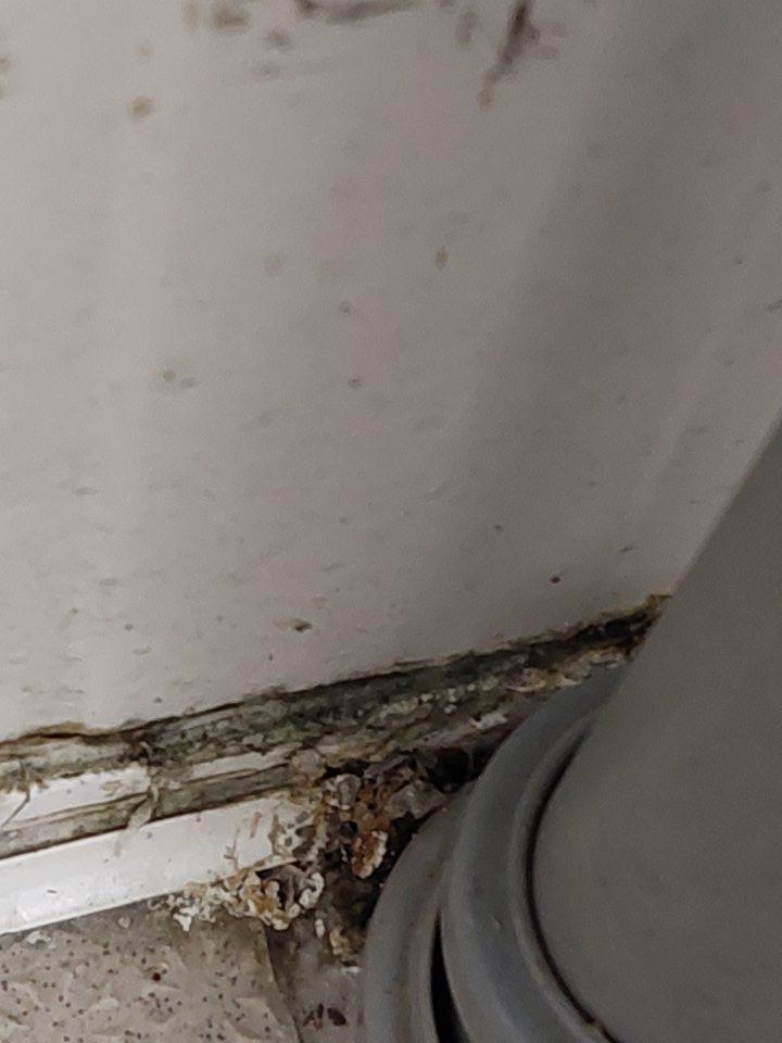 V chladenom sklade mäsových výrobkov výskyt plesne v spodnej časti nad lištou na viacerých miestach.