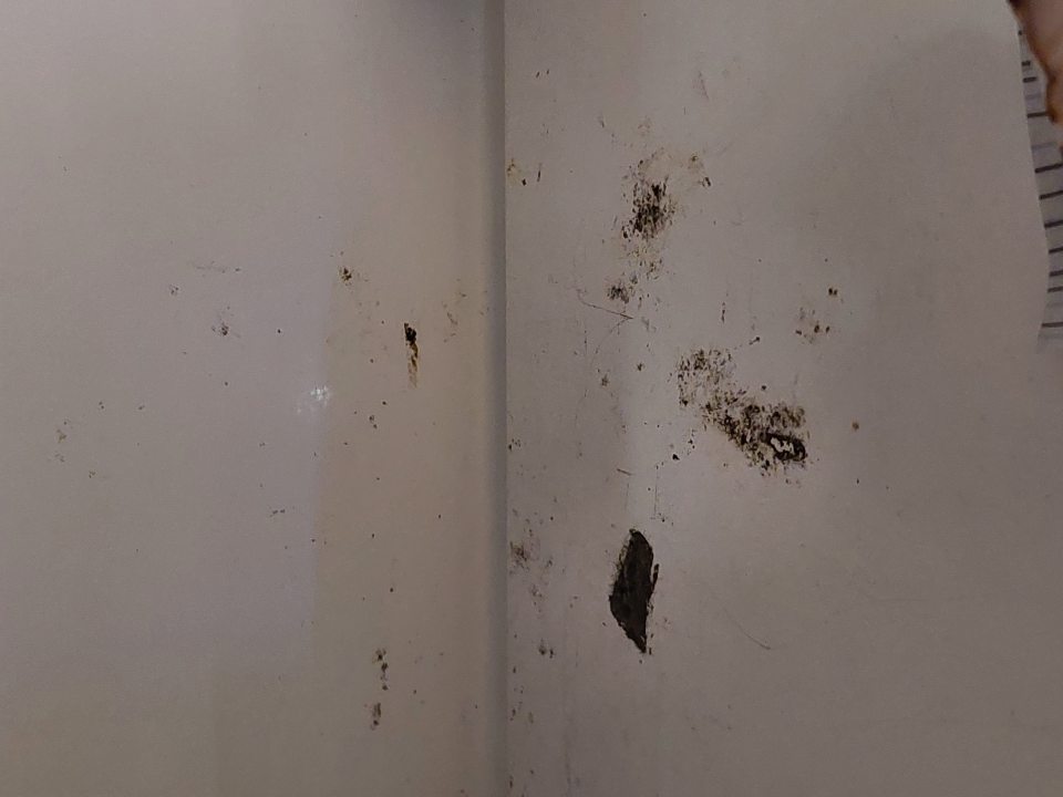 V chladiacom zariadení s uloženými lahôdkarskými výrobkami znečistený a poškodený povrch úložnej plochy s výskytom korózie.