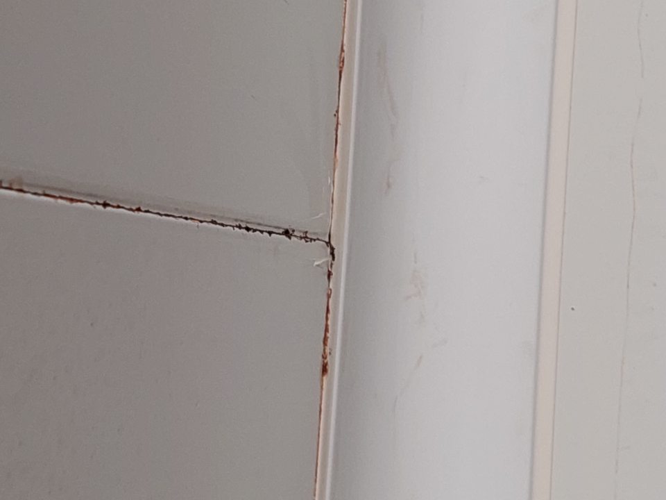 V chladenom sklade s uskladnenými mliečnymi výrobkami korózia steny a medzi stropnými panelmi s výskytom plesne.