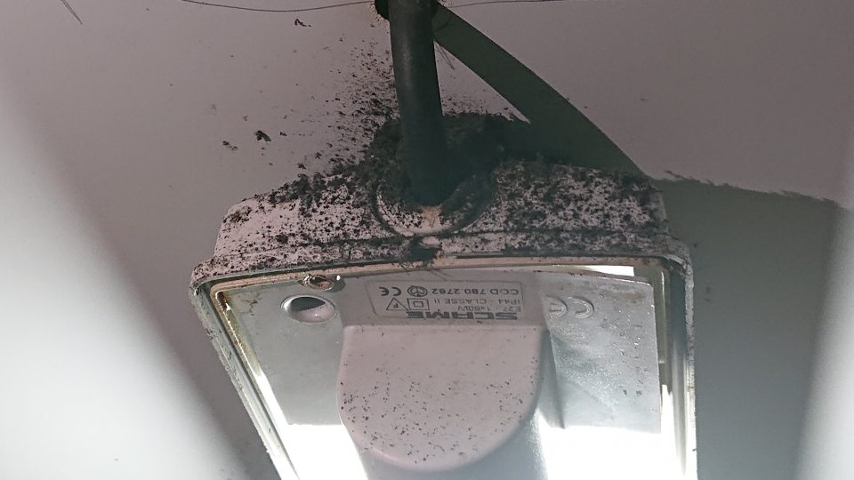 V chladiacom boxe s uskladnenými ovocím a zeleninou znečistenie s výskytom plesne.