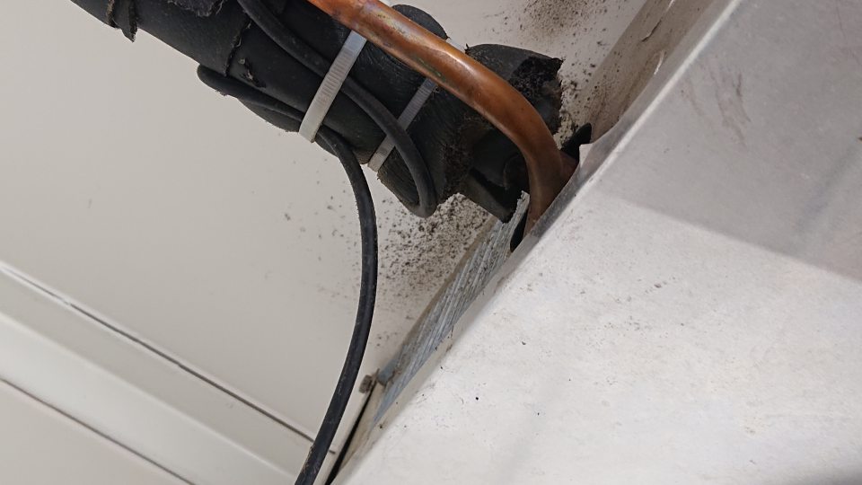 V chladiacom boxe s uskladnenými mliečnymi výrobkami výskyt plesne v okolí chladiacej jednotky.