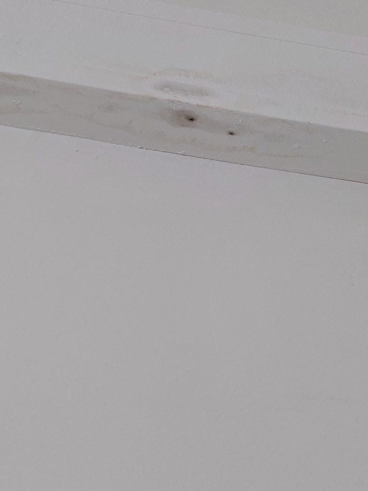 V oddelení dopekania mrazených pekárskych výrobkov v skladových priestoroch výskyt plesne na kryte s vedenými káblami.
