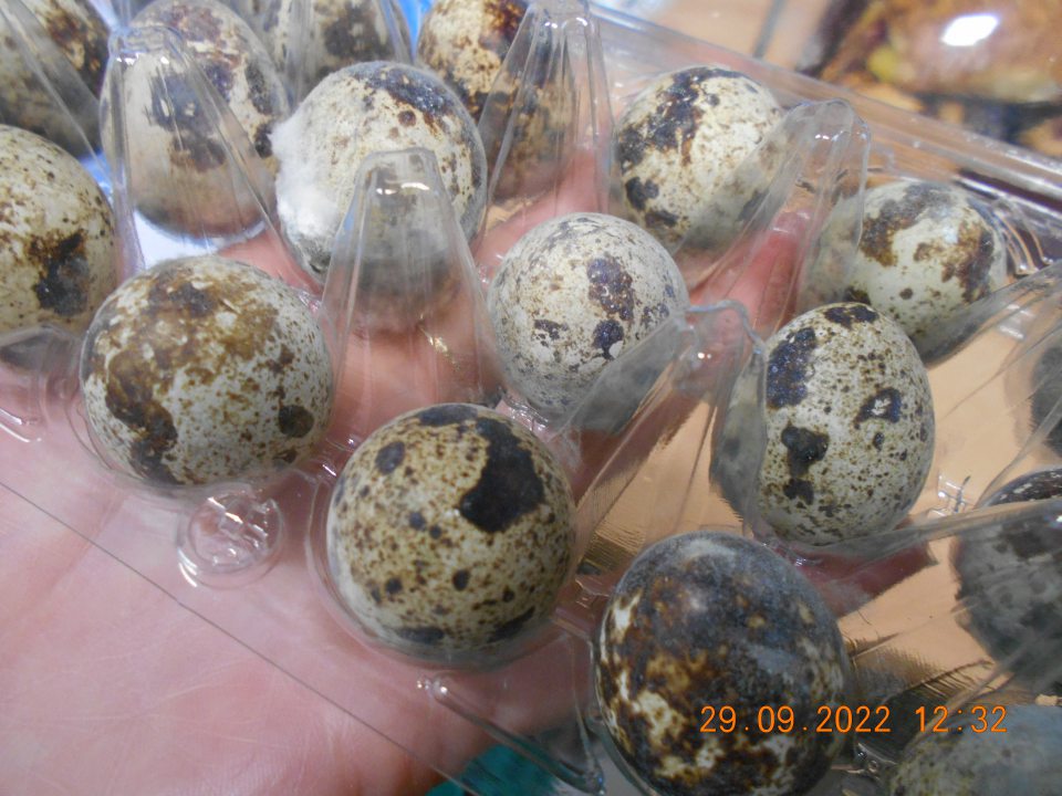 Zistené ponúkanie na predaj čerstvých prepeličích vajec , nevhodných na ľudský konzum, z dôvodu výskytu plesne. 