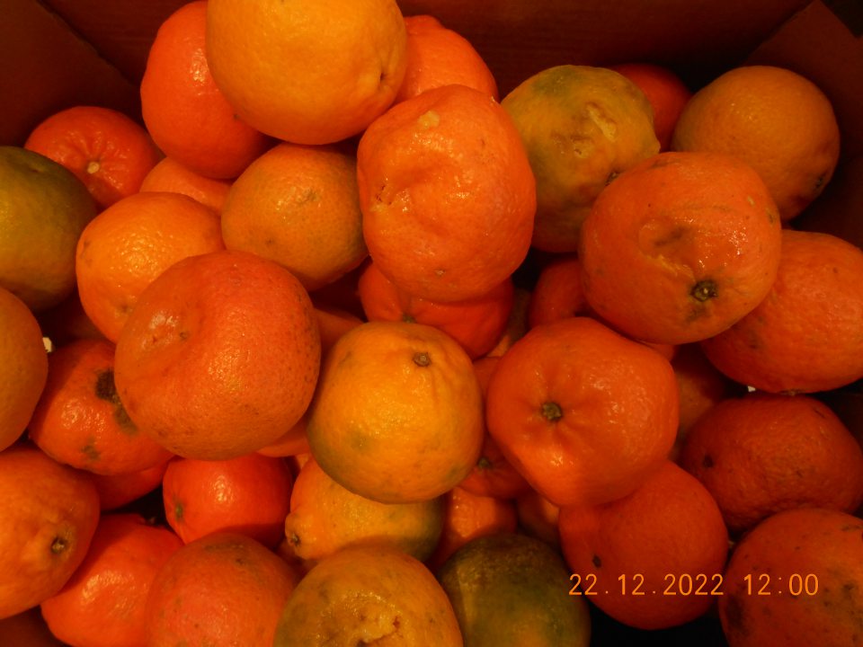 Ponúkanie na predaj jedného druhu čerstvého ovocia a jedného druhu čerstvej zeleniny, nevhodných na ľudskú spotrebu, z dôvodu výskytu hniloby, rozbredlej konzistencie a zmeny farby.