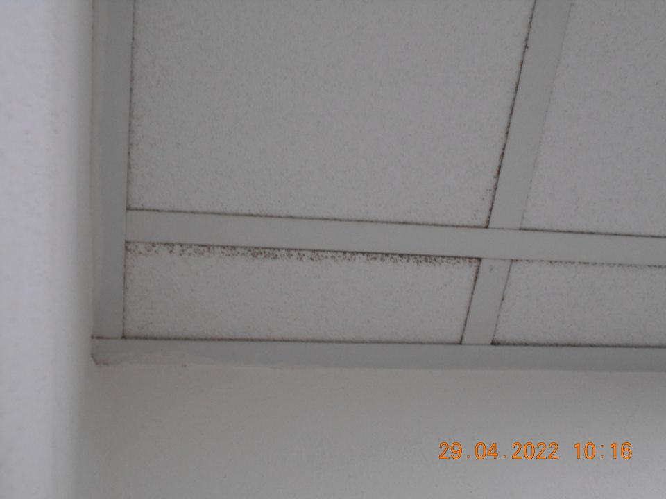 Zistené znečistené stropné kazety v sociálnom zariadené. 