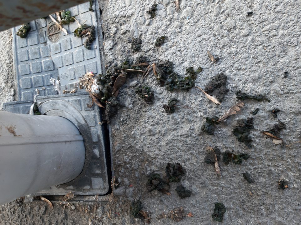 Priestor v okolí príjmovej rampy neudržiavaný, znečistený prachom, pavučinami.