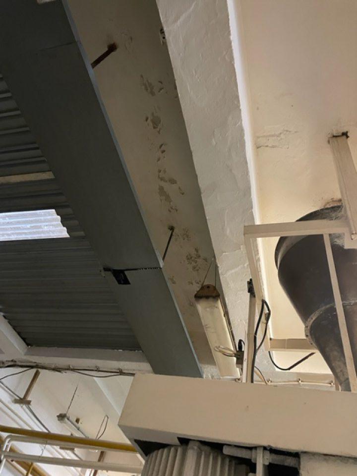 Poškodený hygienický náter stropu nad miesičom cesta.