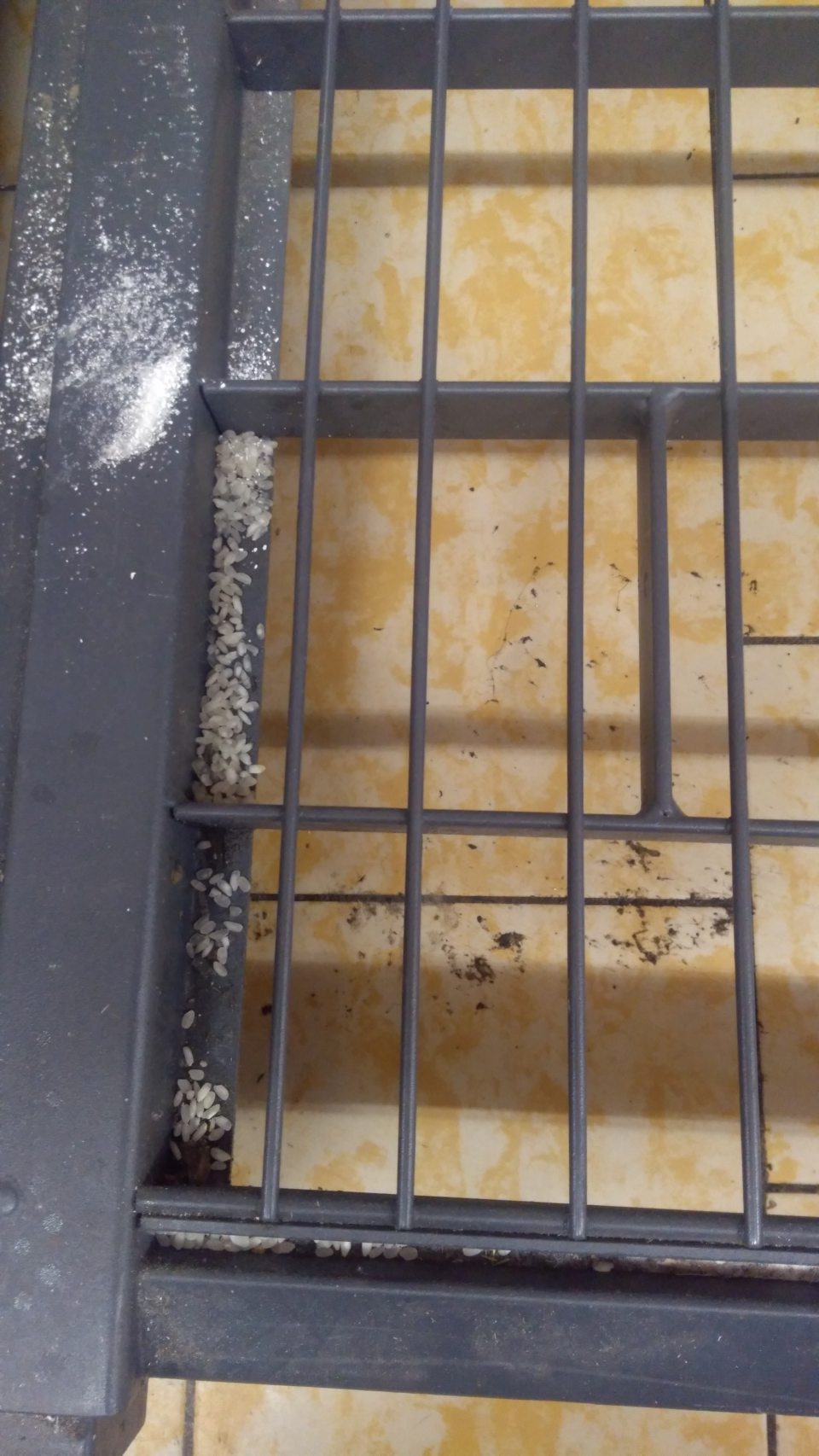 Povrch regálu slúžiaceho na uchovávanie akciového tovaru na predajnej ploche znečistený zvyškami po rozsypaní výrobkov (ryže) na ťažko dostupných miestach v drážkach v prednej časti a po bokoch regálu.