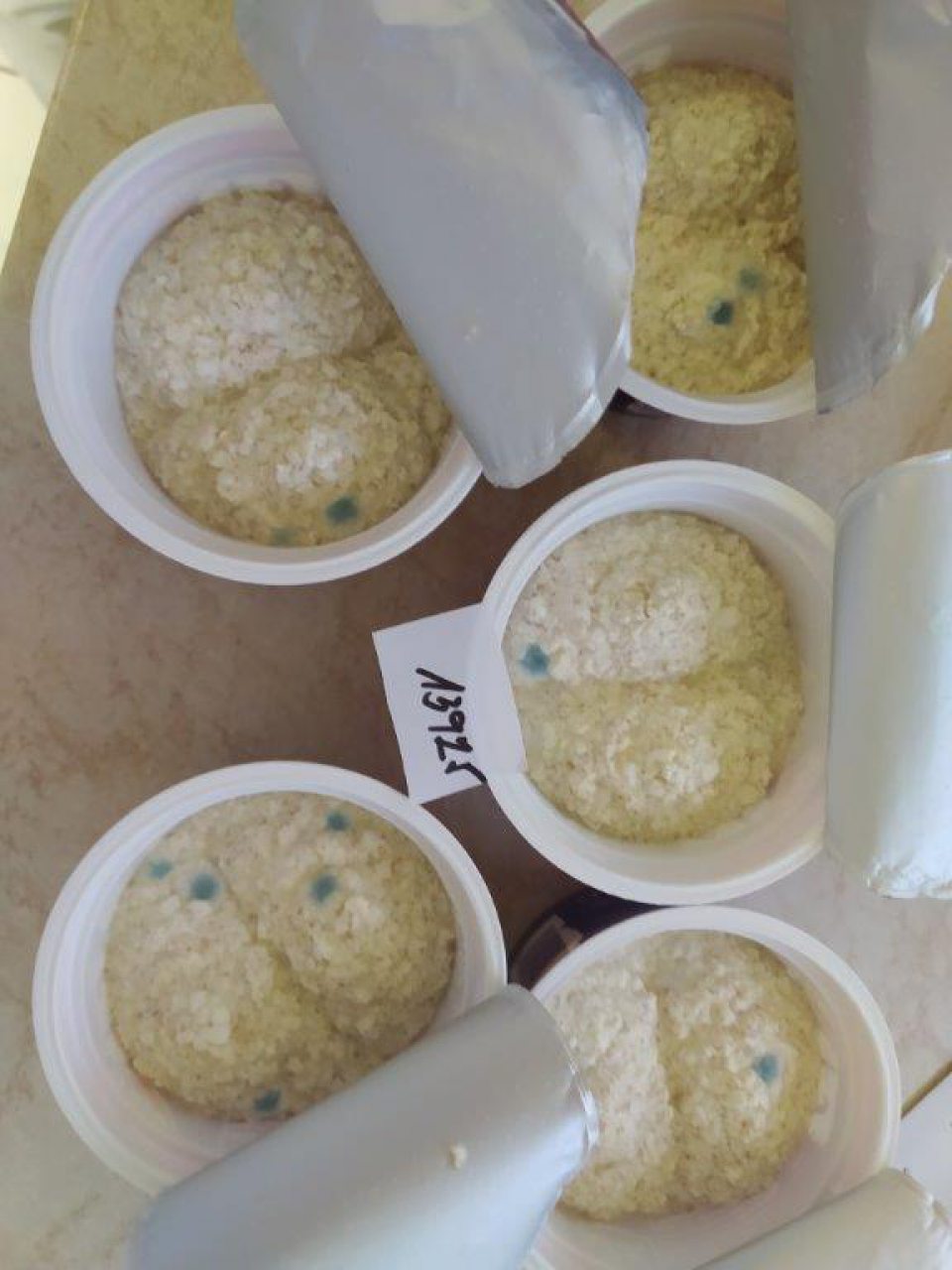 ýrobok „rajo FIT TVAROH 200g, ochutený tvaroh s cereáliami, tuk 1,5%., DS: 13.12.2022/KF7/404“ nie je v súlade s požiadavkami Nariadenia (ES) č.178/2002 Európskeho parlamentu a Rady z 28. januára 2002, ktorým sa ustanovujú všeobecné zásady a požiadavky potravinového práva, zriaďuje Európsky úrad pre bezpečnosť potravín a stanovujú postupy v záležitostiach bezpečnosti potravín:- Článok 14 ods. 2 písm. b): - Na povrchu viditeľný porast plesní, ktoré boli potvrdené mikrobiologickou kultiváciou - protokol o skúške č. 18347/2022 zo dňa 05.12.2022