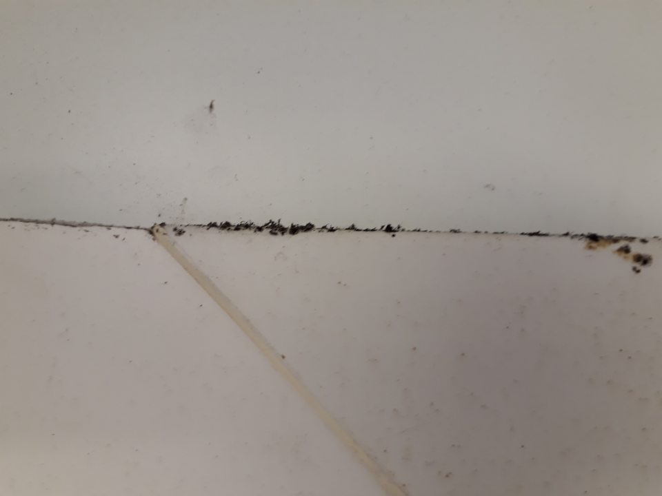 Nevyhovujúci hygienický stav chladiaceho boxu v zázemí predajne - čierne znečistenie pripomínajúce pleseň na ráme chladiaceho boxu pri vstupe z vnútornej strany.