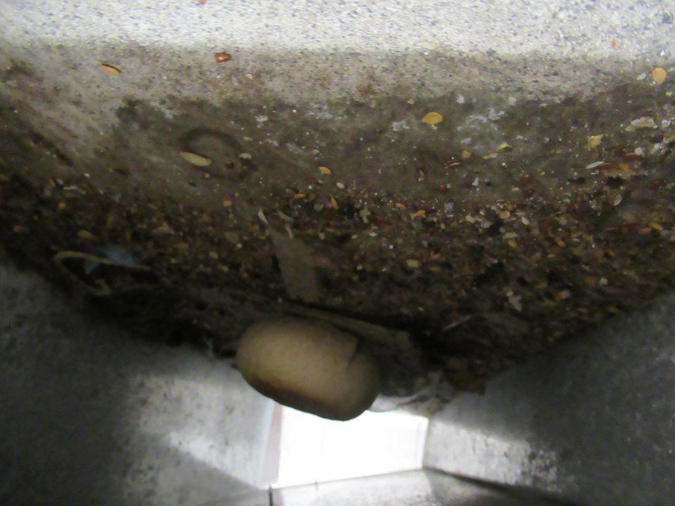 Priestor pod nájazdovou plošinkou pri vstupe do mraziaceho boxu - znečistenie prachom, zvyškami výrobkov.