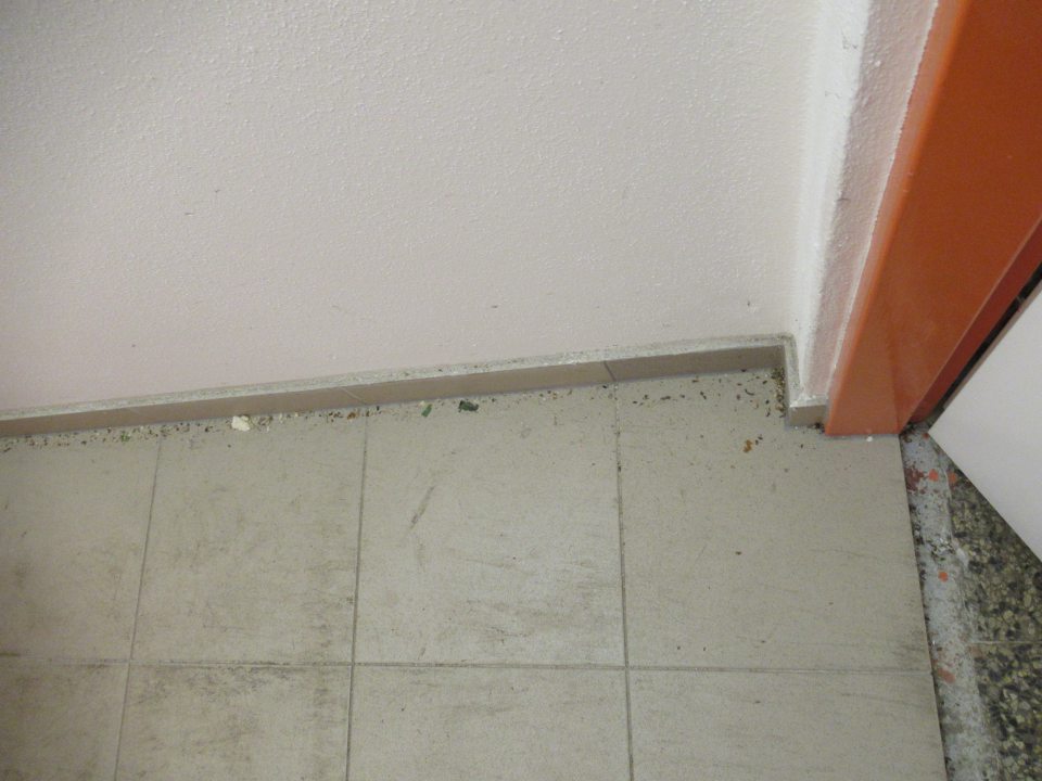  V priestore príjmu pekárskych výrobkov pavučiny, a na podlahe zbytky semienok z pečiva.