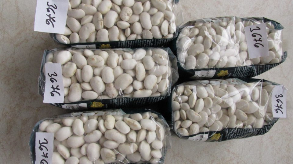 nevyhovujúci výsledok vyšetrenia- Fazuľa biela 400 g, mykologickým vyšetrením potvrdená prítomnosť plesní Penicillium sp, Aspergilus sp. a Cladosporium sp.