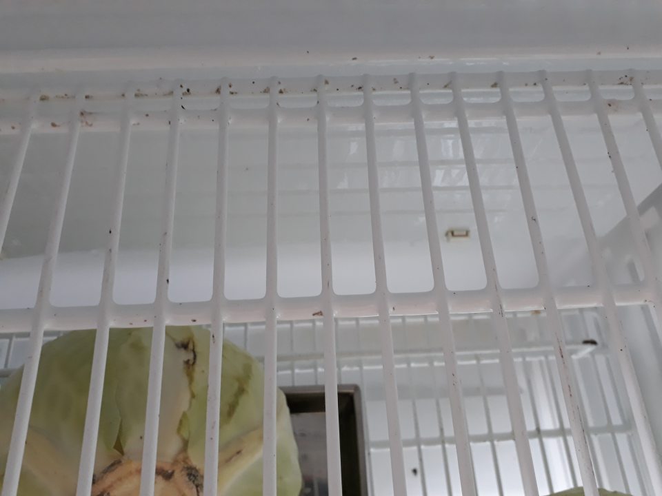 Nevyhovujúci hygienický stav mriežok v chladiacom zariadení v zázemí predajne slúžiacom na uchovávanie zeleniny (mriežky znečistené prachom a mastnotou).