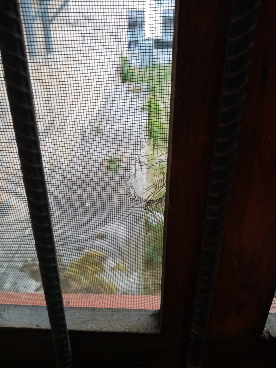 Sieťka na okne v oddelení dopeku je v spodnej časti poškodená - roztrhnutá s vytvoreným otvorom o veľkosti cca 3x5 cm.