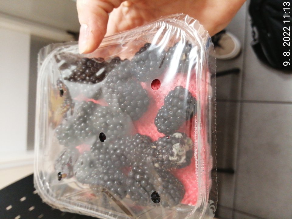 1 druh drobného ovocia nevhodného na ľudskú spotrebu - výskyt plesní